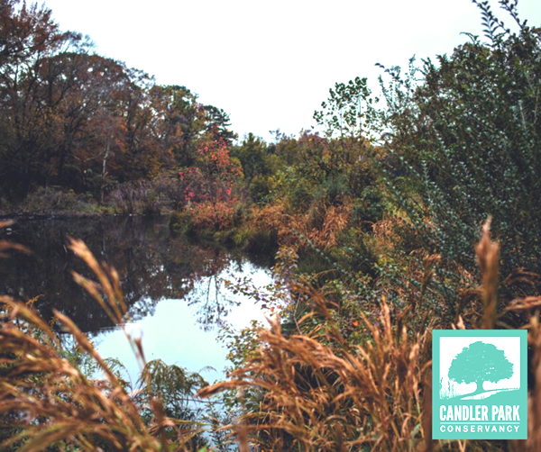 Candler Park Conservancy